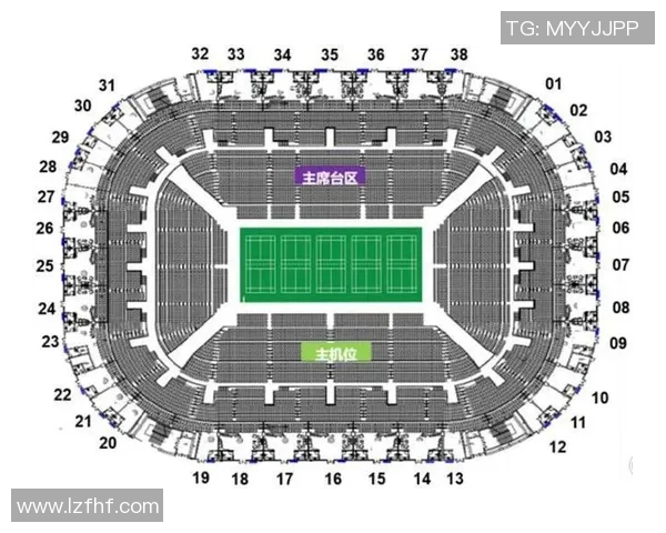 南京羽毛球队的实力分析与发展潜力探讨
